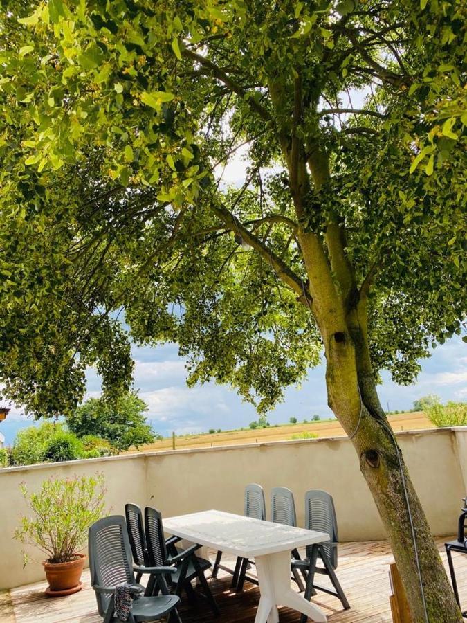 Gite Spa La Grange كينتزهيم المظهر الخارجي الصورة